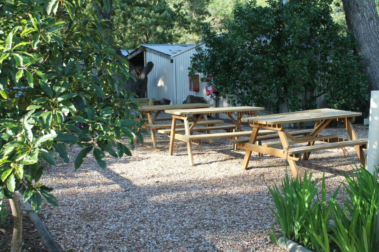 Millicent Hillview Caravan Park Exterior foto